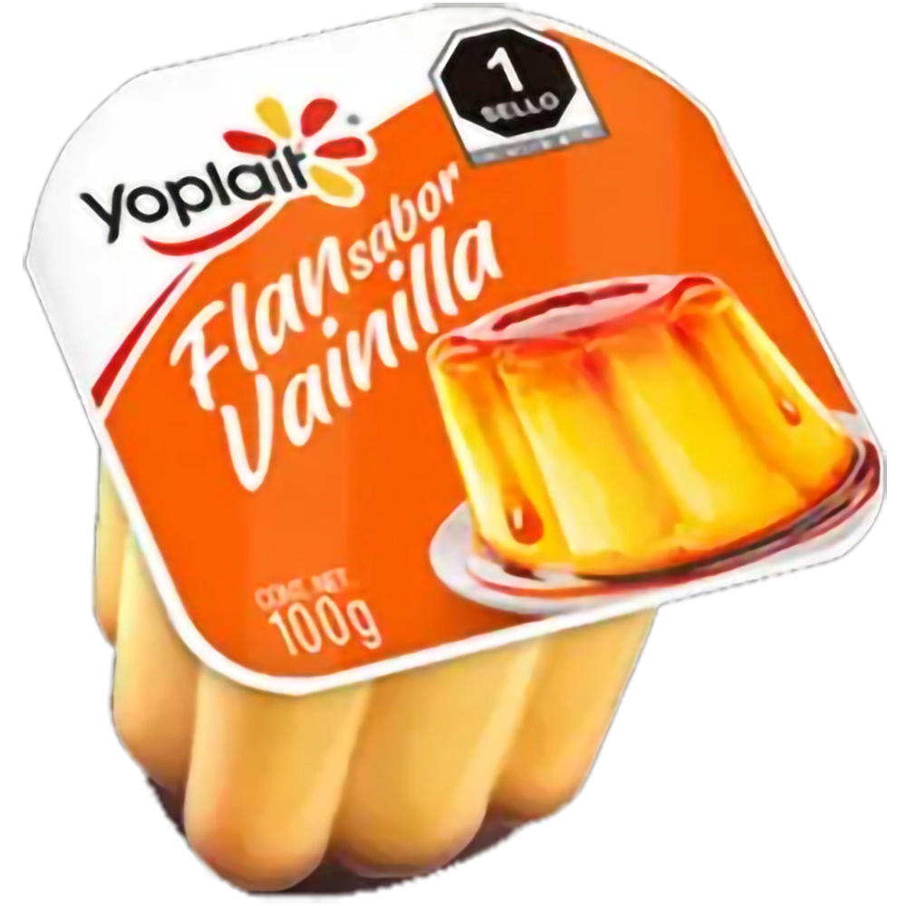 Flan vainilla Yoplait 100 g
